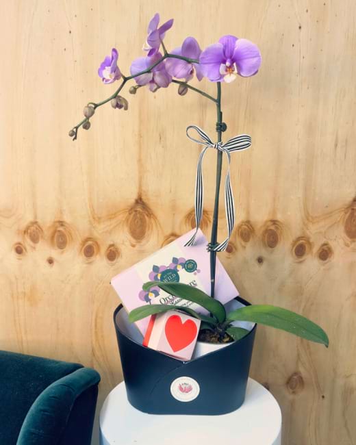 Orchid Hamper